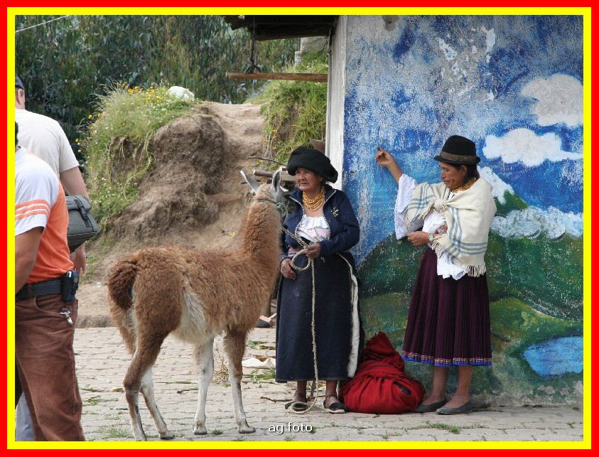 Ecuador 220_tn.jpg
